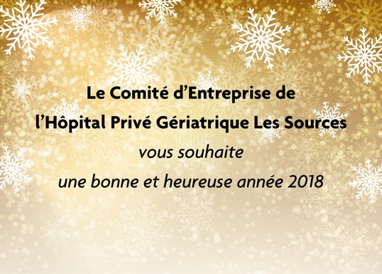 CE HPG Les Sources voeux 2018
