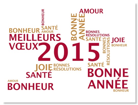 Voeux 2015
